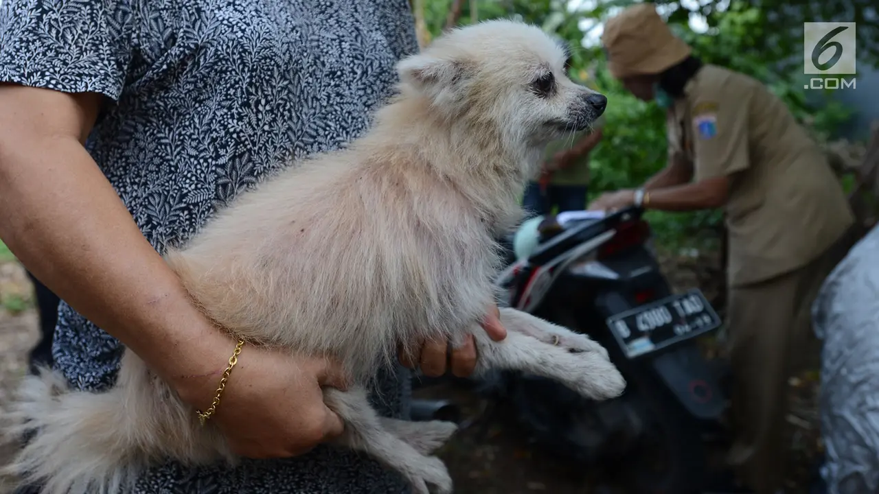 Pemkot Jaktim Gelar Vaksin Rabies