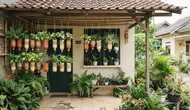 8 Ide Pot Gantung dari Botol Plastik 1,5 Liter, Cocok untuk Tanaman Hias di Rumah Mungil