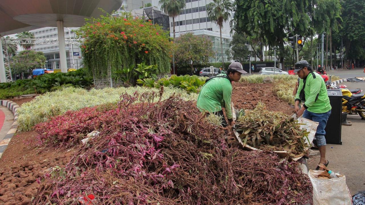 Malam Tahun Baru 2024 di Bundaran HI, Jakarta, telah meninggalkan dampak yang kurang menggembirakan. <br><br>Kondisi tanaman di sekitar area tersebut mengalami kerusakan serius akibat ulah pengunjung yang tidak bertanggung jawab.<br>
