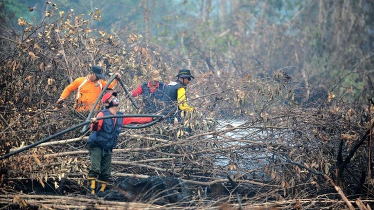 Melihat lebih dekat pemadaman kebakaran hutan Palangkaraya
