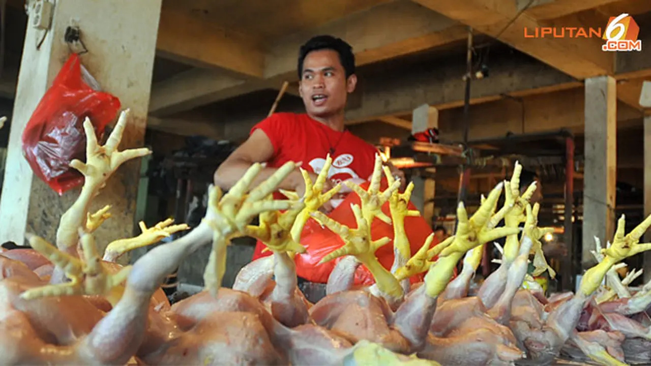 ayam-arabi-130625-b.jpg