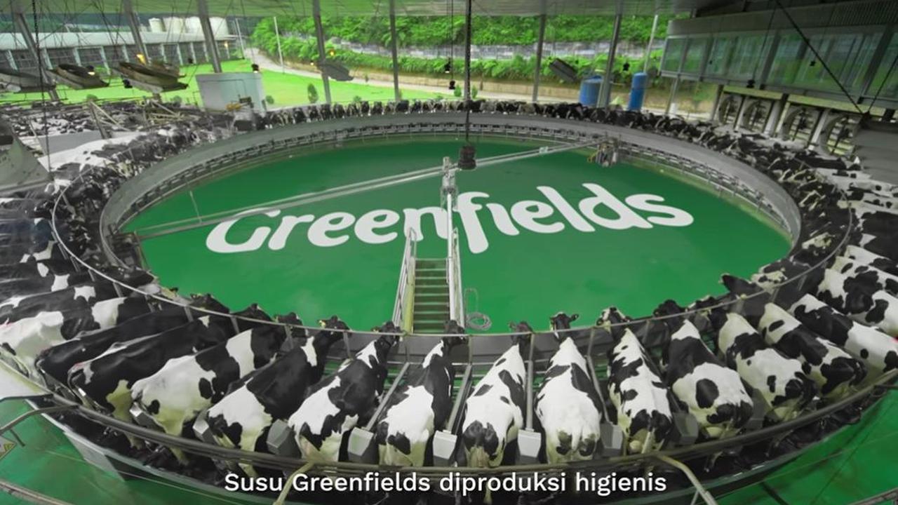Fakta menariknya, kedua peternakan Greenfields memiliki standar kelas dunia.