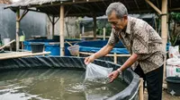 6 Cara Mempercepat Pertumbuhan Lele di Kolam Terpal untuk Panen Melimpah, Untung Besar