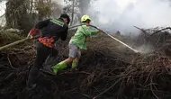 Apa Penyebab Kebakaran Kalimantan? Ini Faktor Utama di Balik Karhutla 2026