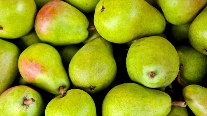 Fakta buah pir/copyright Pixabay.com