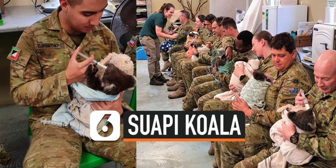 VIDEO: Viral Foto Tentara Australia Suapi Koala Makanan