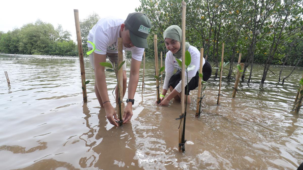 Mangrove Project - Untuk Satu Bumi 2024 Digelar di 5 Provinsi, Populerkan Investasi pada Upaya Nyata Menahan Laju Perubahan Iklim