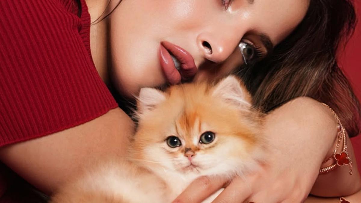 Jadi Anabul Sultan, Kucing Tasya Farasya Tampil Menggemaskan di Dalam Tas Hermes Rp1,9 Milyar dan Kalung Rp69 Jutaan