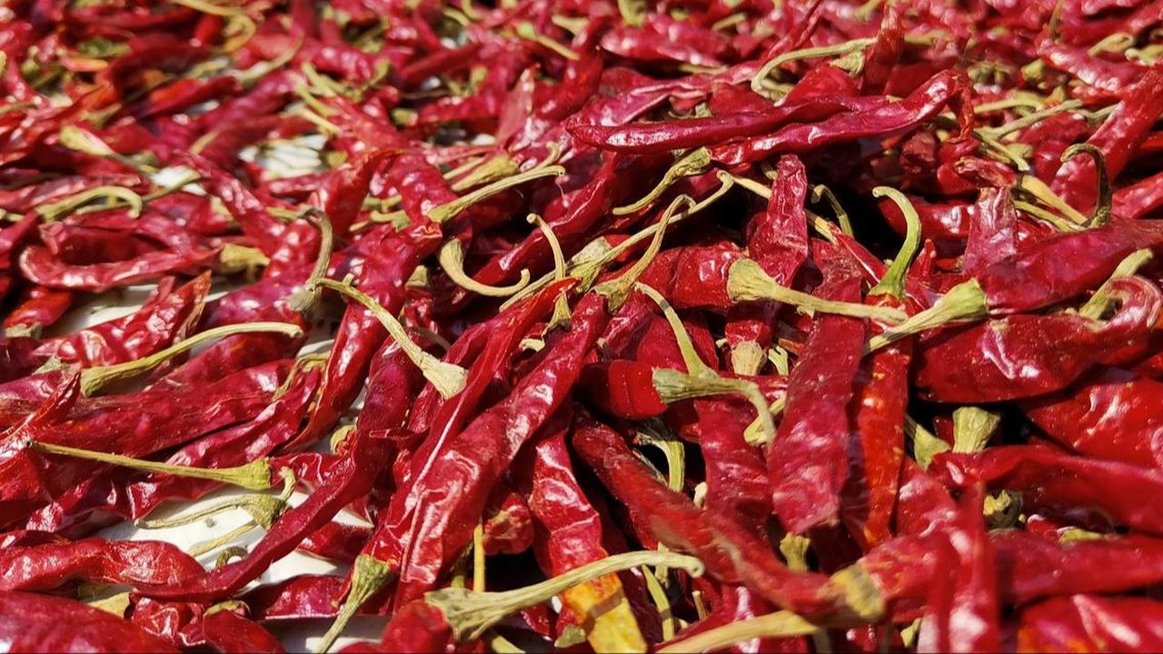 Manfaat Makanan Pedas