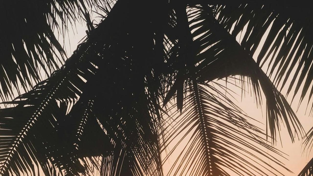 90 Kata-kata Senja di Pantai yang Aesthetic, Keren, dan Cocok untuk Caption Instagram
