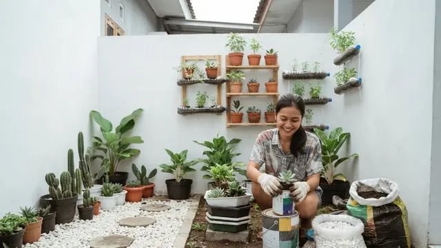 Cara Membuat Taman di Rumah dari Nol