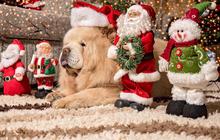 10 Ide Kegiatan Natal Bersama Anak yang Mudah Dilakukan, Seru dan Bermakna