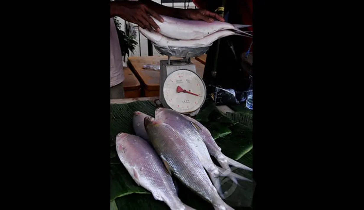 Pedagang menimbang ikan bandeng di pasar musiman kawasan Rawa Belong, Jakarta, Rabu (18/2). Bagi kalangan Tionghoa, pindang bandeng Imlek adalah perlambang kemakmuran yang berlimpah. (Liputan6.com/Johan Tallo)