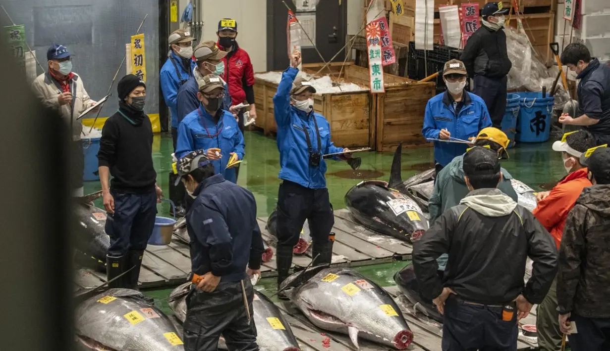 Para tengkulak yang mengenakan masker untuk mencegah penularan COVID-19 berpartisipasi dalam lelang tuna di Pasar Toyosu, Tokyo, Jepang, 5 Januari 2021. Untuk lelang tahun ini, penonton tidak diizinkan untuk menghadiri acara tersebut. (Philip FONG/AFP)