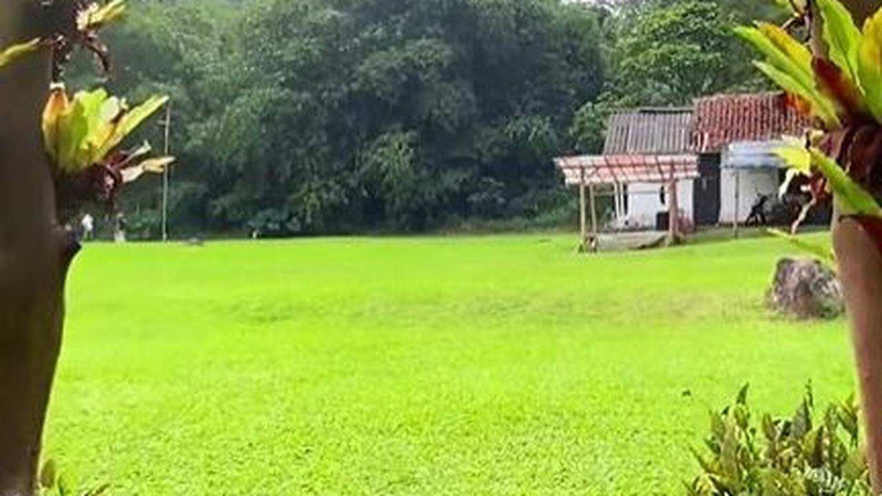Ada Tempat Super Sejuk yang Bikin Tenang di Sukabumi, Rumputnya Hijau dengan Pemandangan Menakjubkan