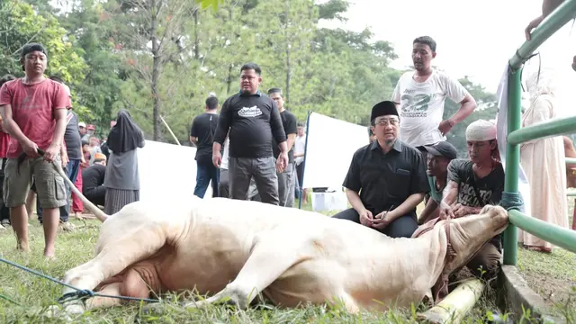 Ustaz Yusuf Mansur berdoa sebelum hewan dikurbankan di pesantren Daarul Quran, Tangerang, Senin (17/6/2024).