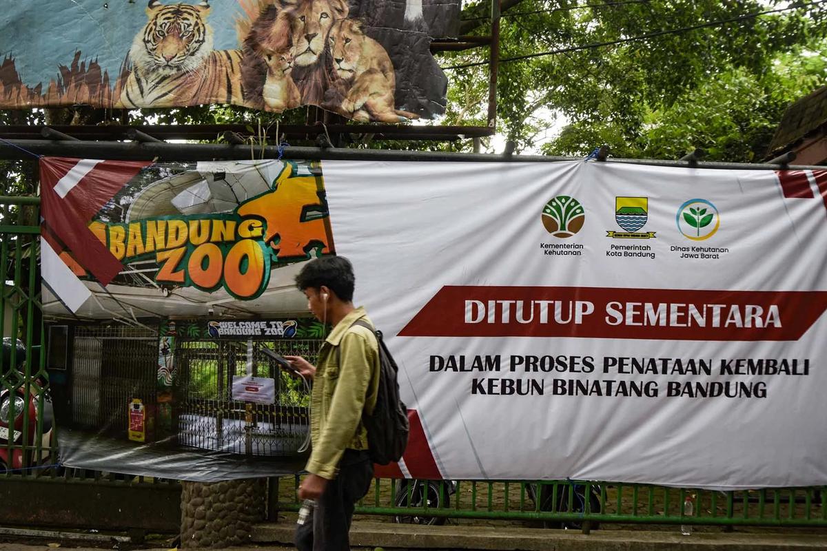 FOTO: Kebun Binatang Bandung Disorot Usai Kematian Dua Anak Harimau Bengal