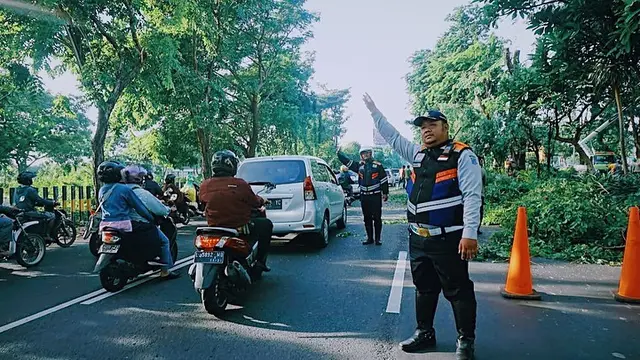 Potret Perantingan Pohon di Surabaya