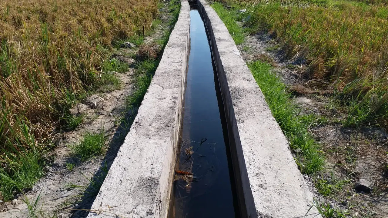 Waspadai Perubahan Iklim, Kementan Terapkan TOT untuk Petugas dan Petani