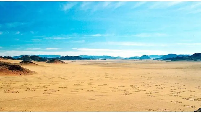 (c) amusingplanet.com