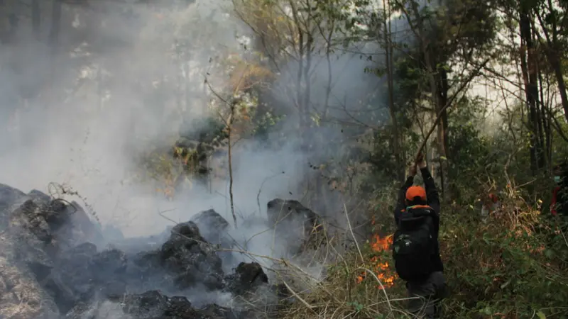 Petugas Gabungan Pastikan Api Yang Membakar Gunung Ciremai Sudah Padam