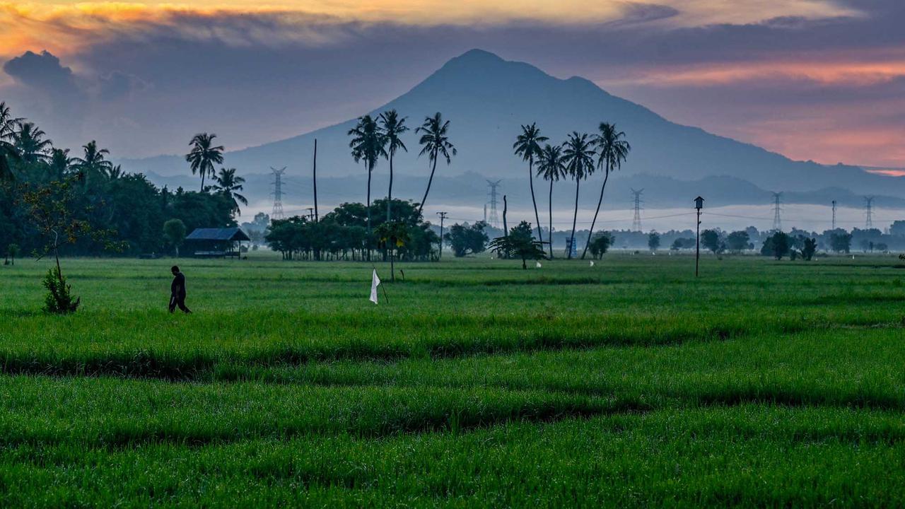 Mentari Pagi Menyinari Sawah Produktif Aceh Besar