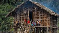 Rumah Mod Aki Aksa atau rumah adat kaki seribu khas suku Arfak Papua Barat. Foto (merdeka.com)