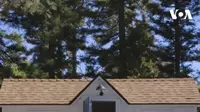 Tiny House Block, kompleks rumah mini di California, Amerika Serikat. (Tangkapan Layar Instagram @voaindonesia)