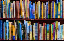 Penyebab Literasi Rendah di Indonesia, Salah Satunya Minim Sarana Prasarana