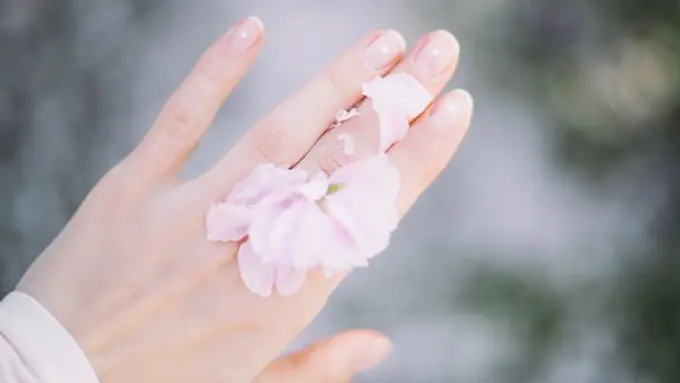 Copyright: unsplash/roman kraft