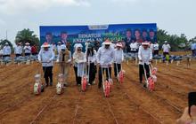 Produktivitas Jagung Bengkulu Melonjak 8,83 Ton per Hektare, Lampaui Rata-rata Nasional!