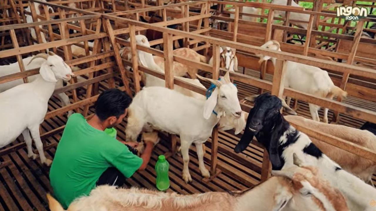Cari Nilai Manfaatnya