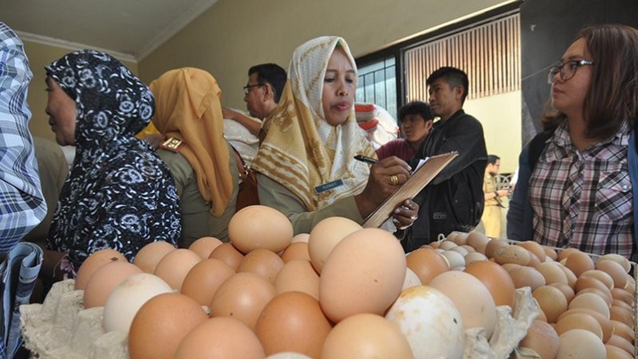 Harga Telur Melonjak Drastis, Pemkot Palu Sidak Ketersediaan Telur dan Daging Ayam, Ini Biang Keroknya!