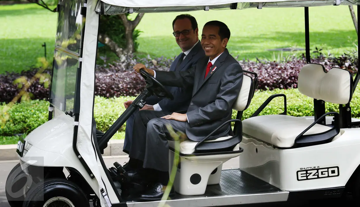 Presiden Jokowi (kanan) menyetir mobil golf yang dinaiki Presiden Prancis Francois Hollande di Istana Merdeka, Jakarta, Rabu (29/3). Hollande merupakan Presiden Prancis pertama yang berkunjung ke Indonesia sejak 30 tahun lalu. (Liputan6.com/Angga Yuniar)