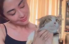 Tersentuh! Ini 6 Momen Dewi Perssik Rawat Kucing Eko Patrio Pasca Rumah Dijarah