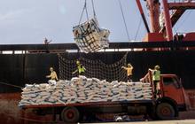 Sumbar Terima 1.100 Ton Alokasi Pupuk NPK Subsidi, Amankan Musim Tanam 2026