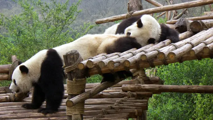 Foto: copyright Thinkstockphotos.com