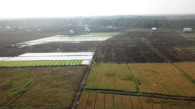 Kementan
