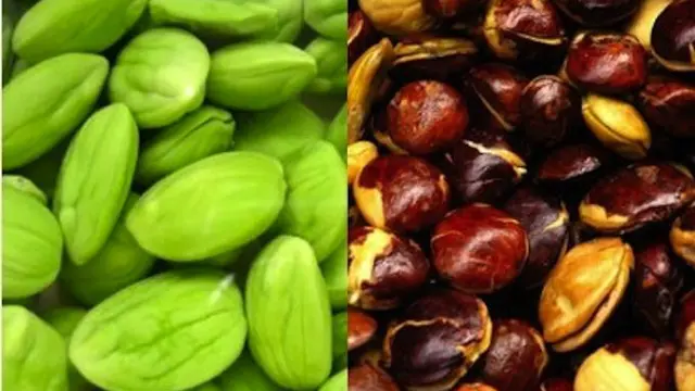 Antara Jengkol dan Pete, Lebih Laku Mana?