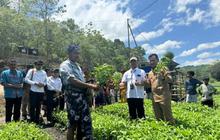 Mengejutkan! Program Electrifying Agriculture Sumba Tumbuh 2,6 Persen, Dorong Modernisasi Pertanian di NTT