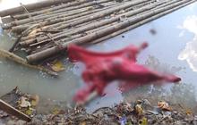 Tim SAR Evakuasi Penemuan Mayat Perempuan Mengapung di Sungai Enim, Identitas Masih Misteri
