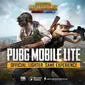 PUBG Mobile Lite. (Doc: Ubergizmo)