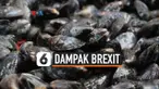 dampak brexit