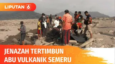 Jenazah korban erupsi Gunung Semeru kembali ditemukan warga dan tim SAR di daerah aliran sungai semeru di Sungai Leprak, Lumajang, Jawa Timur. Evakuasi korban berlangsung dengan sangat hati-hati karena korban tertimbun material vulkanik yang masih pa...