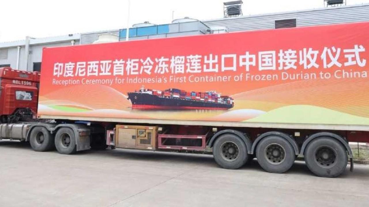 Durian Beku Indonesia Resmi Merambah Pasar China, Bukti Kualitas Global