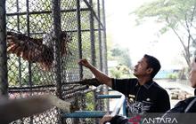 Pemkot Banjarmasin Siapkan Miliaran Rupiah untuk Pembenahan Taman Edukasi Satwa Jahri Saleh