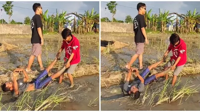 Demi Hasil Foto Menarik, Aksi Pria Rela Diseret di Sawah Ini Bikin Ngakak