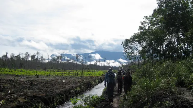 Pendaki di Gunung Palung