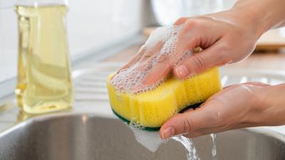 7 Life Hack Mengeringkan Spons Cuci Piring agar Tidak Cepat Bau dan Tetap Higienis