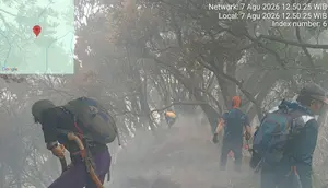 Pendakian Gede Pangrango Ditutup Imbas Kebakaran